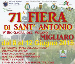 71° Fiera di S. Antonio @ Migliaro (FE) | Emilia-Romagna | Italia